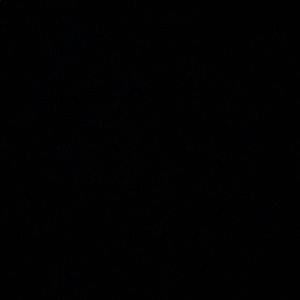 Meet your Posher, Tamia